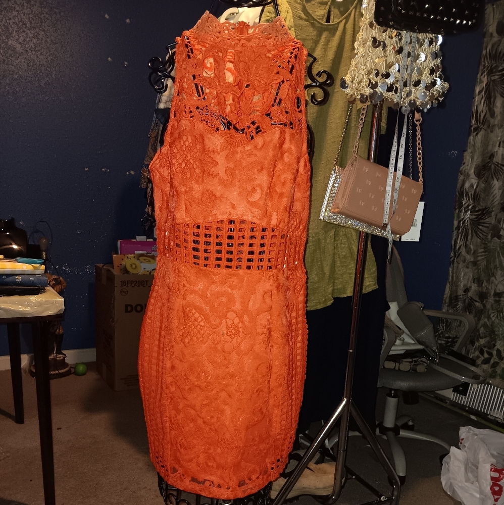 Nwt Boohoo Boutique Elegant Orange Lace Dress Zip Back Knee Length Sz 8